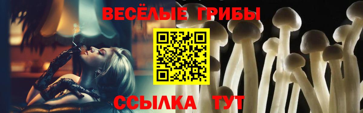 Псилоцибиновые грибы MAGIC MUSHROOMS  Вход с VPN  Галлюциногенные грибы Cubensis  Тихвин 